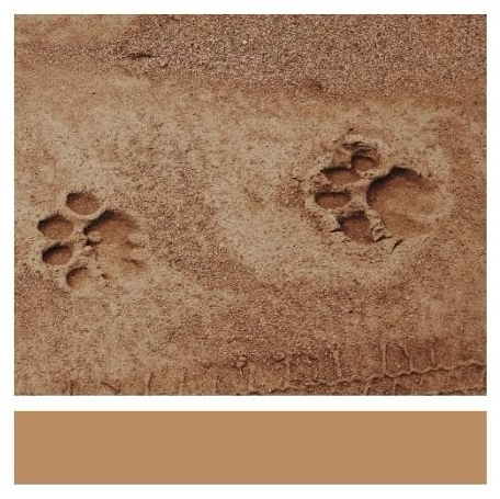 Outpost 12 pugmark for colour palette